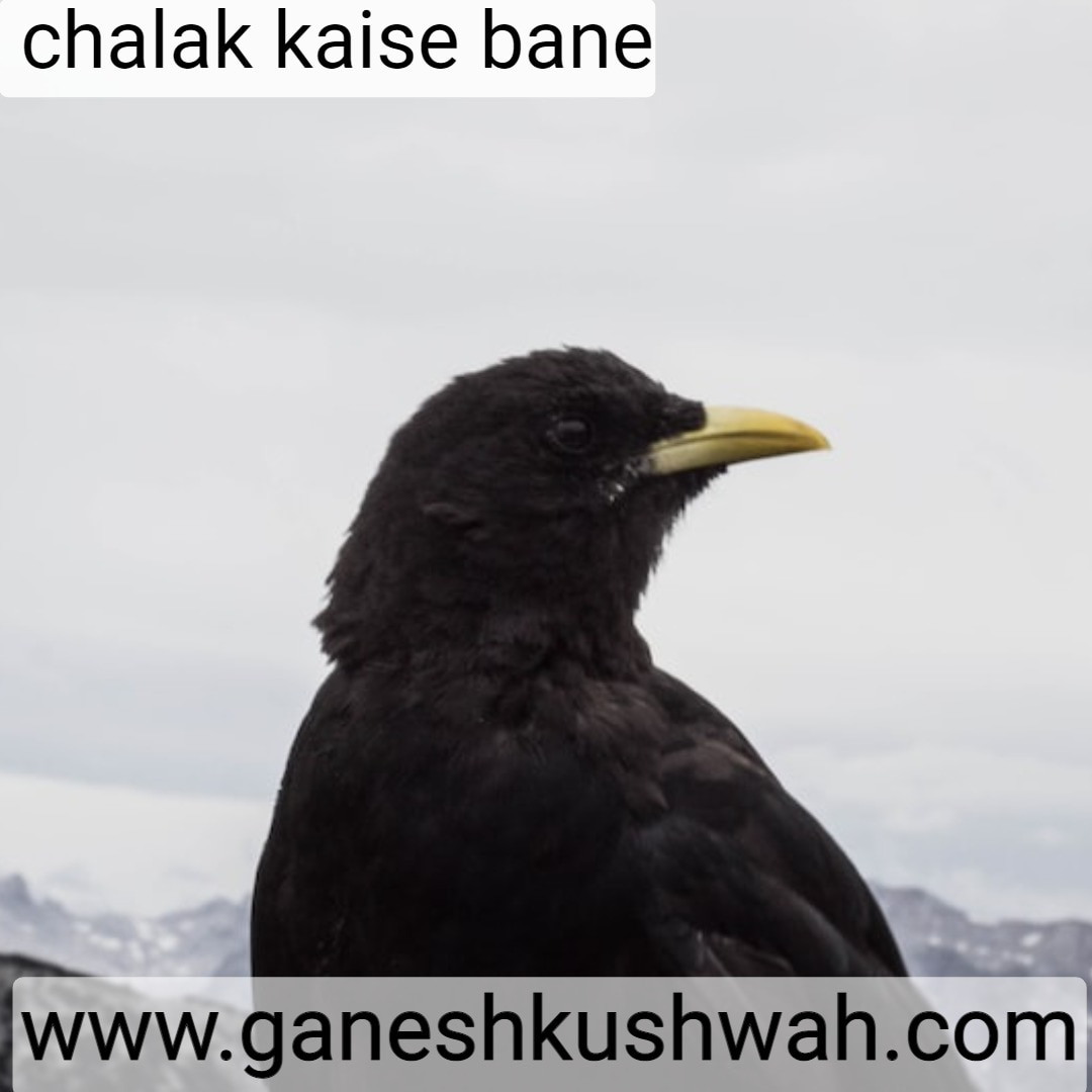 www.ganeshkushwah.com chalak kaise bane 2
