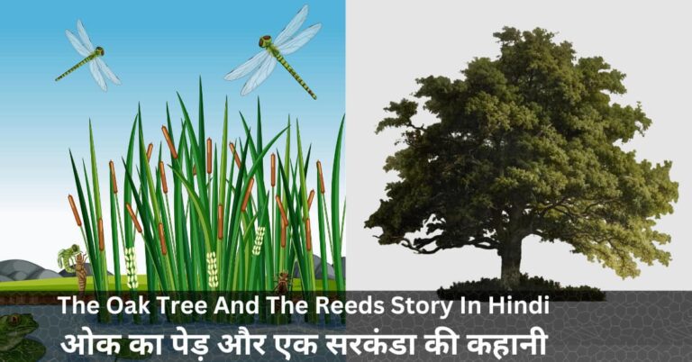 _The Oak Tree And The Reeds Story In Hindi ओक का पेड़ और एक सरकंडा की कहानी