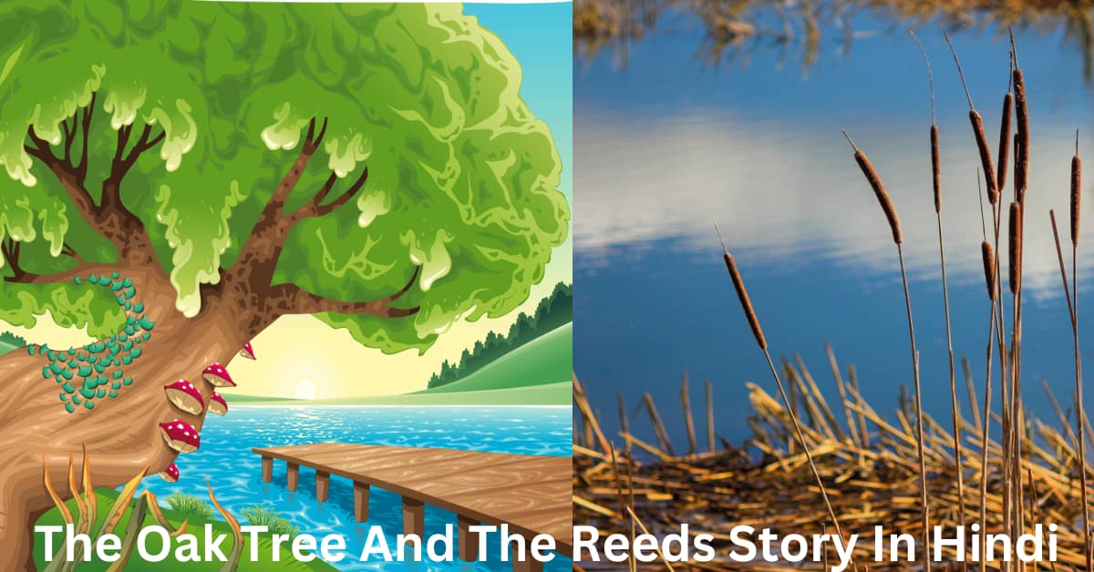 ओक का पेड़ और एक सरकंडा की कहानी The Oak Tree And The Reeds Story In Hindi 